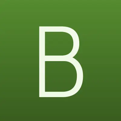 BELLICHI, сеть химчисток и биочистки, лого-визитка