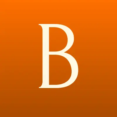 BSI, сервисный центр по ремонту телефонов, компьютеров и телевизоров, лого-визитка