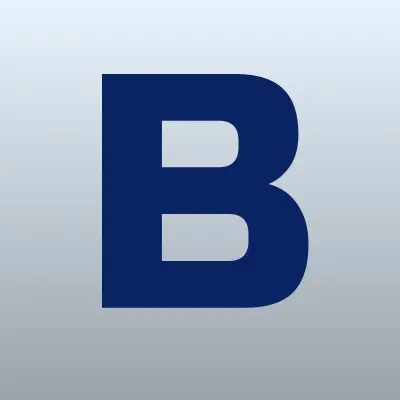 БСР, лого-визитка
