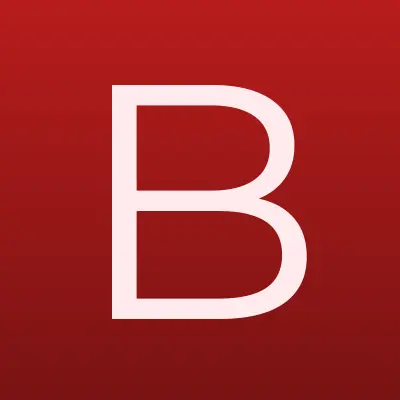 Барнаульская сетевая компания, лого-визитка