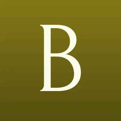 Большой-Сервис, лого-визитка