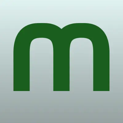 МСМ Групп, торговая компания, лого-визитка