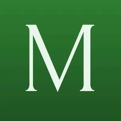 Мегастрой, торговая компания, лого-визитка