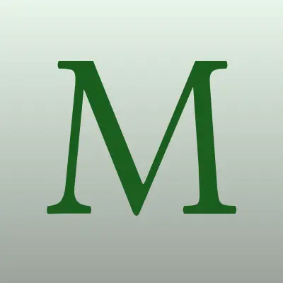 Мотосервис, лого-визитка