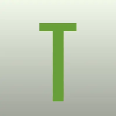 TOTACHI, сервисный центр технического обслуживания, лого-визитка
