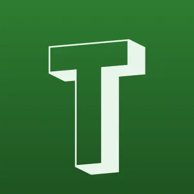 Тимвайз, лого-визитка