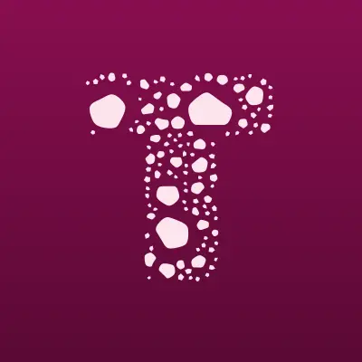 Топ-Техника, торгово-производственная компания, лого-визитка